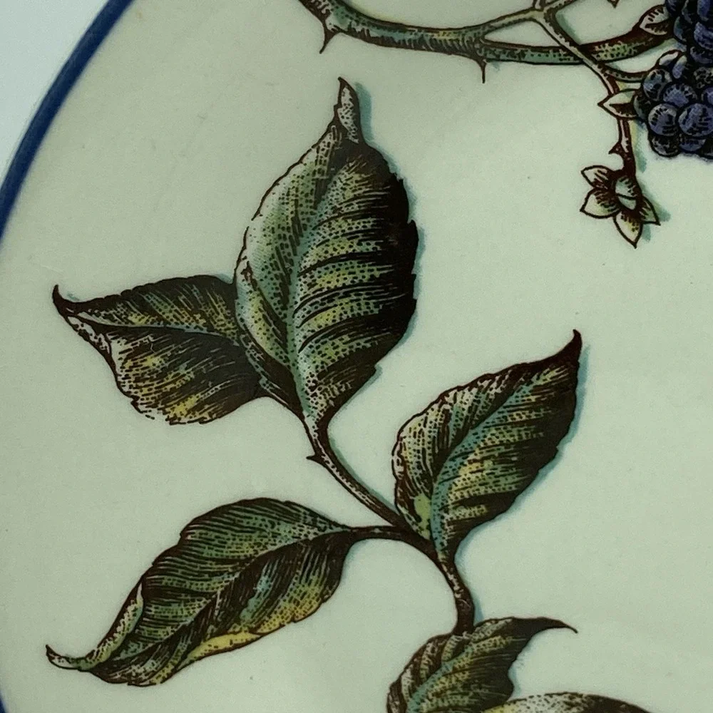 Pier 1 Macintosh Salad Plates Set Of 2  8